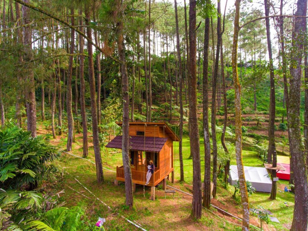 Kampung Rimba by Anrha photo