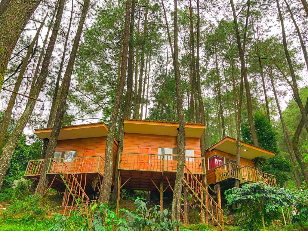Kampung Rimba by Anrha — Hotel in Puncak