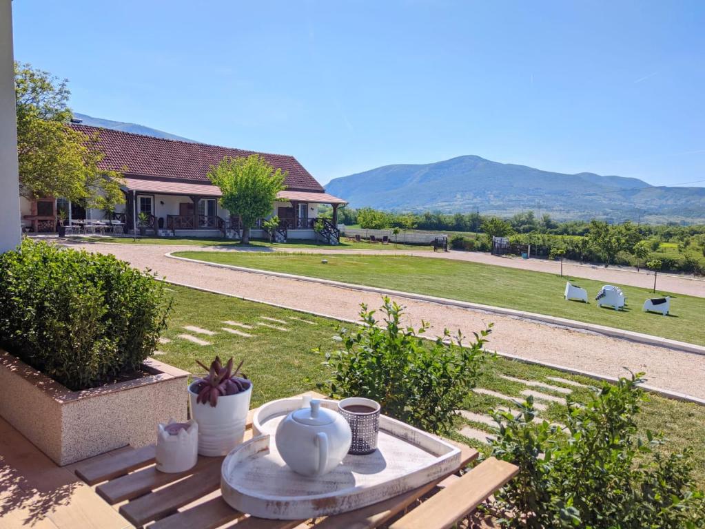 Magnolia by Radovanovic, Ždrelo