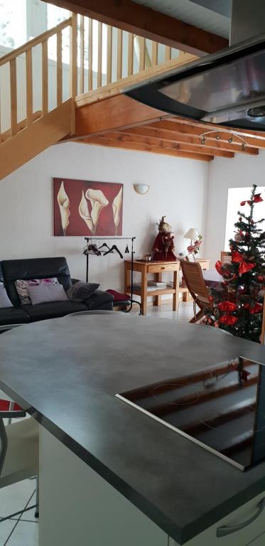 Gîte spacieux et lumineux proche centre ville - 5