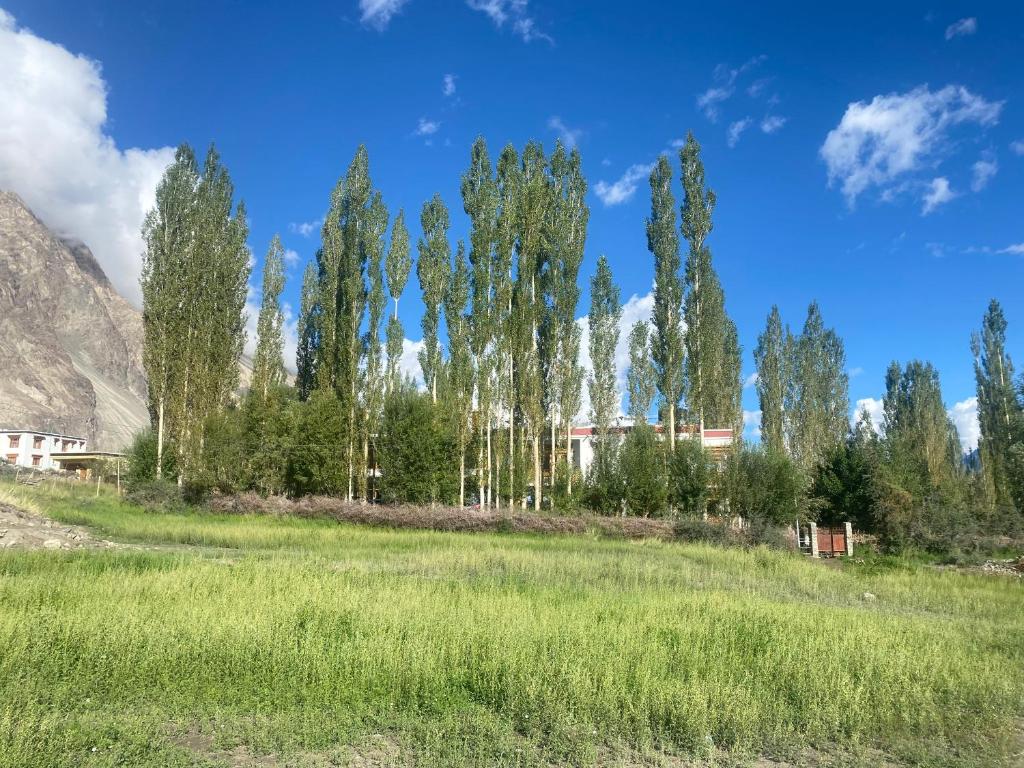 Otsal guest house nubra photo