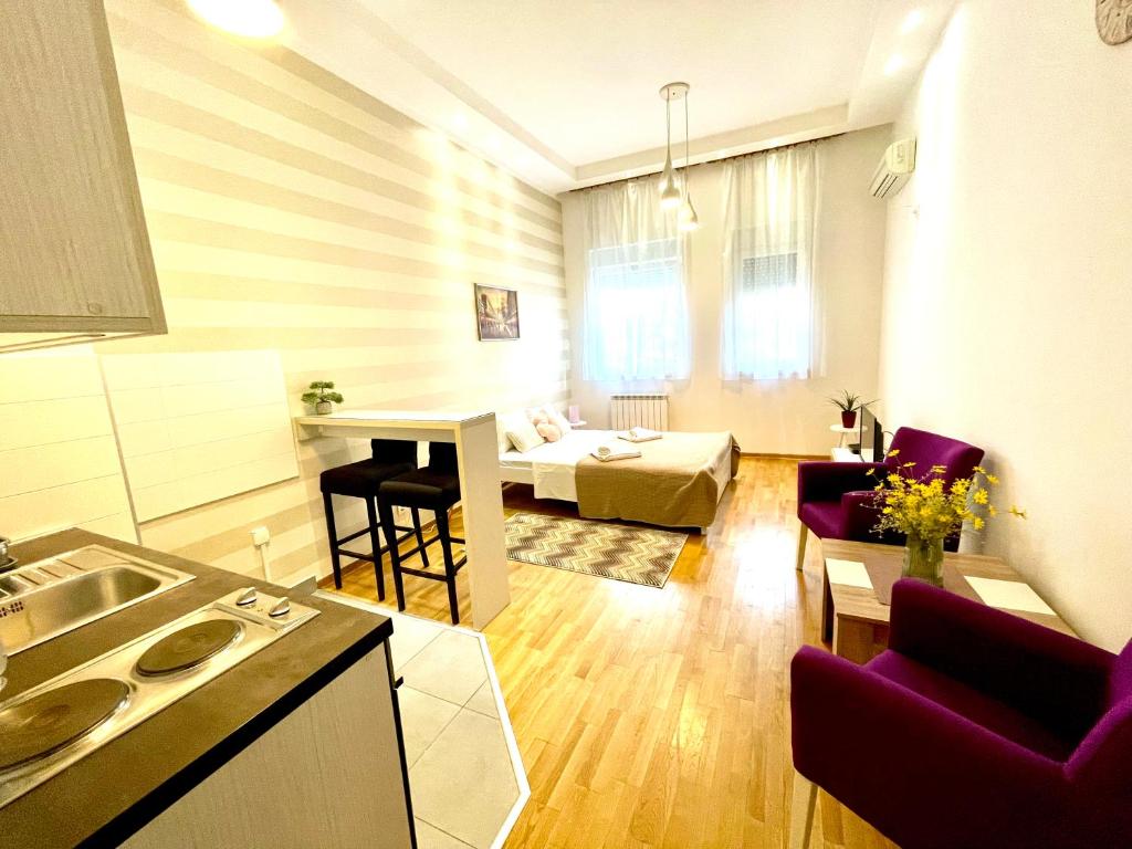 DORA stan na dan Novi Beograd Savada Blok A, parking 5 evra dan - 3