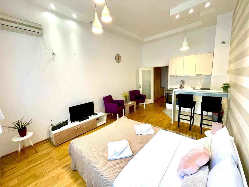 DORA stan na dan Novi Beograd Savada Blok A, parking 5 evra dan - 4