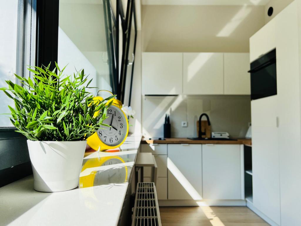 CozyStudio with Sauna, Krakov