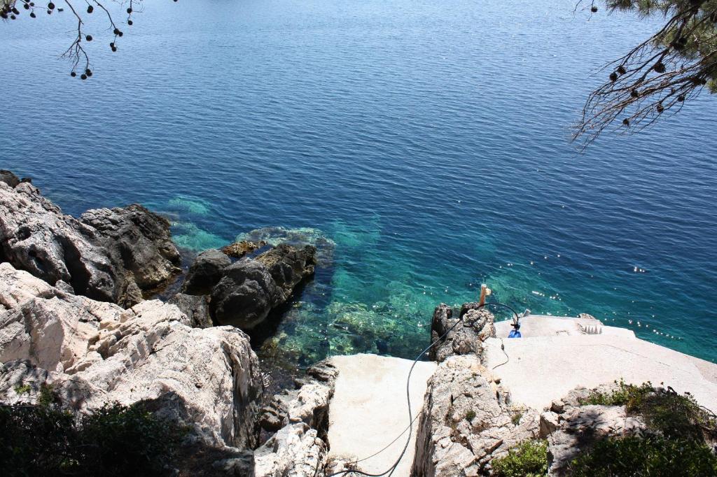 Apartments by the sea Cove Saplunara, Mljet - 4925 photo