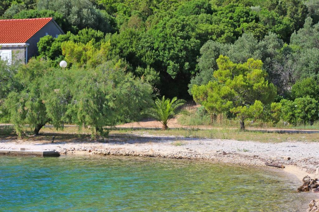 Apartments by the sea Brijesta, Peljesac - 10223 photo