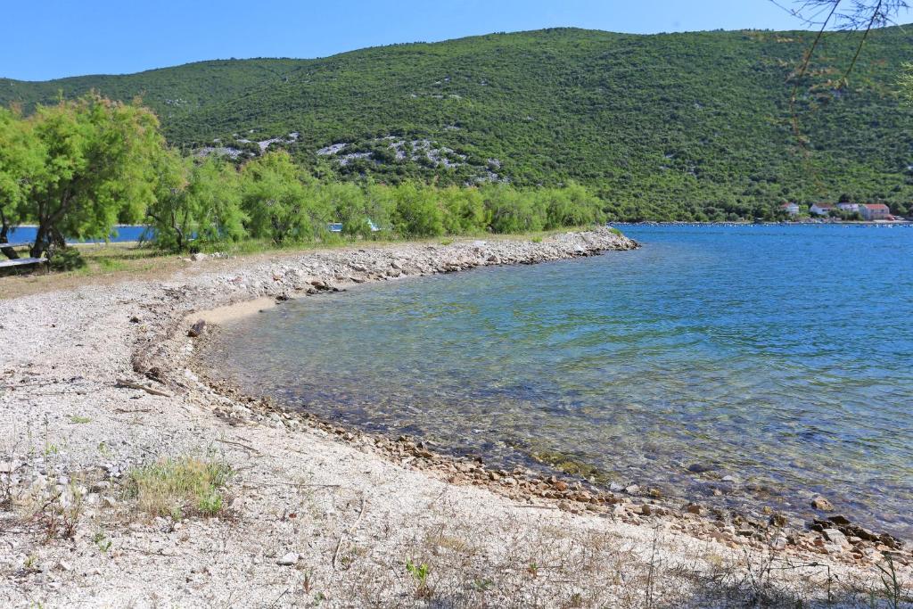 Apartments by the sea Brijesta, Peljesac - 10223 photo