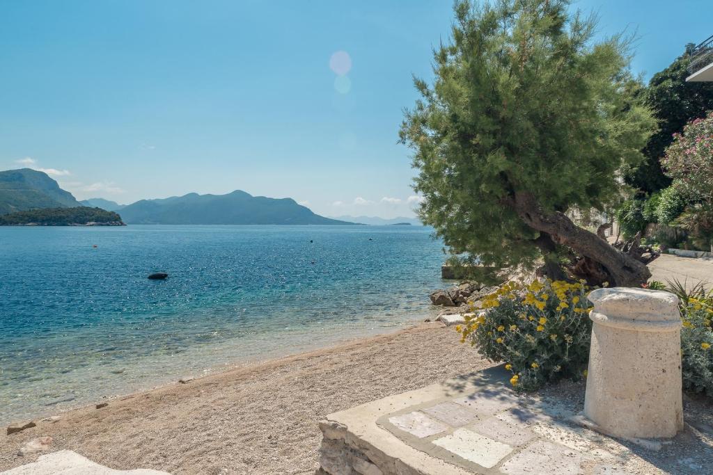 Apartments and rooms by the sea Trstenik, Peljesac - 4566 photo