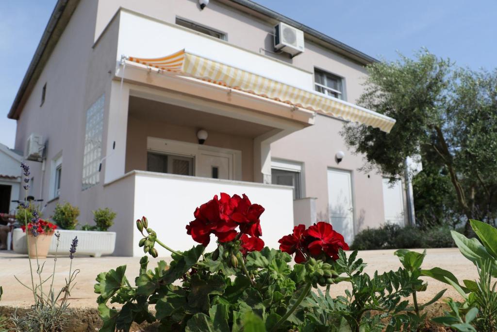Apartments for families with children Zaton, Zadar - 17268 — Hotel in Zaton