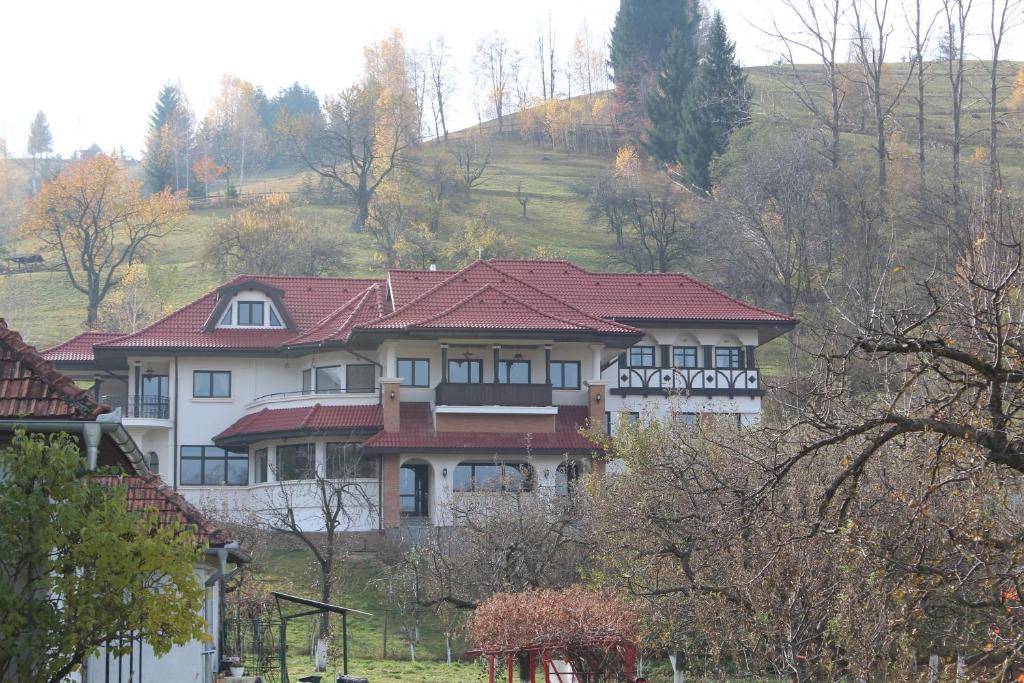 Conacul Bratescu photo