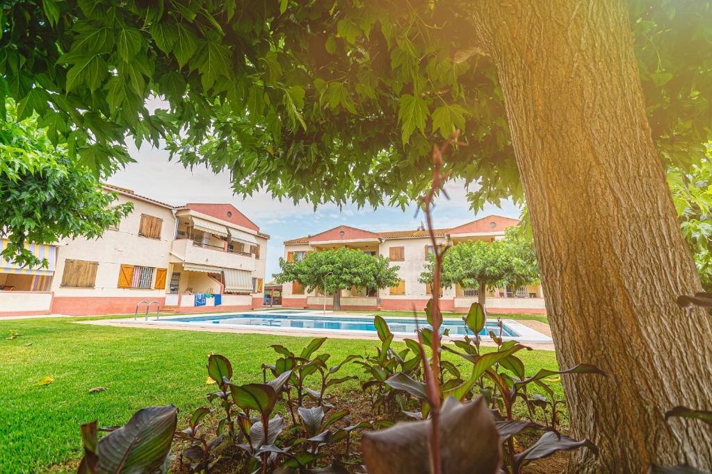 Apartamentos Aigua Oliva - 2