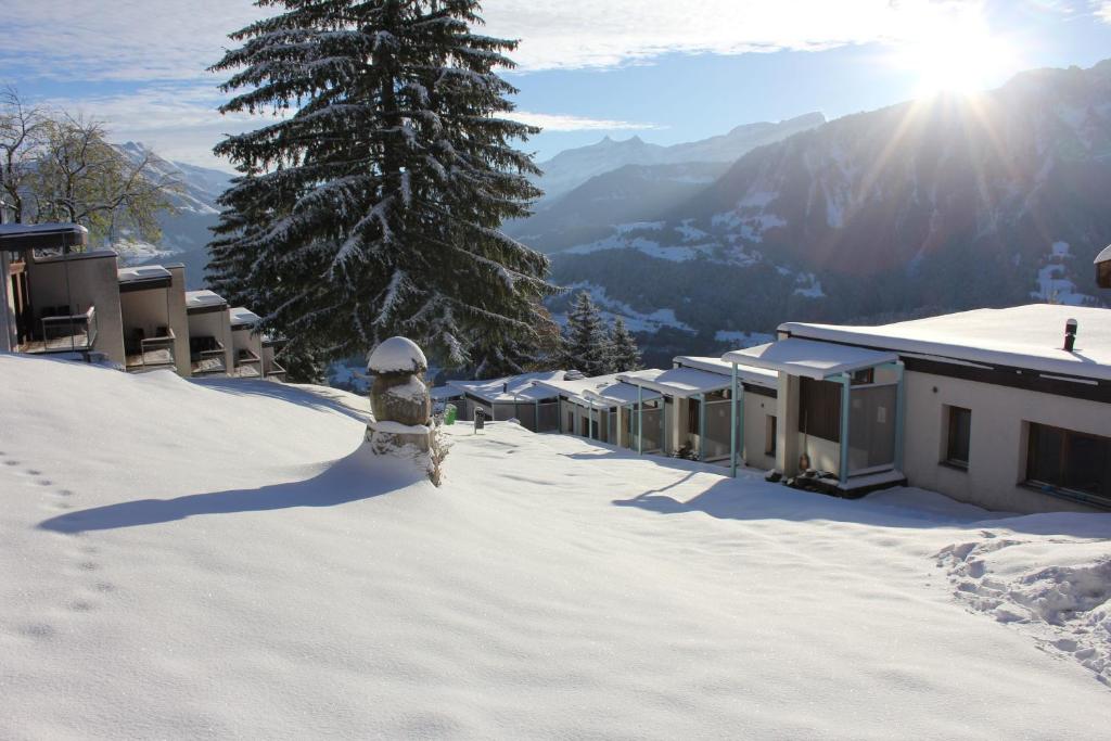 Leysin Lodge — Hotel in Aigle