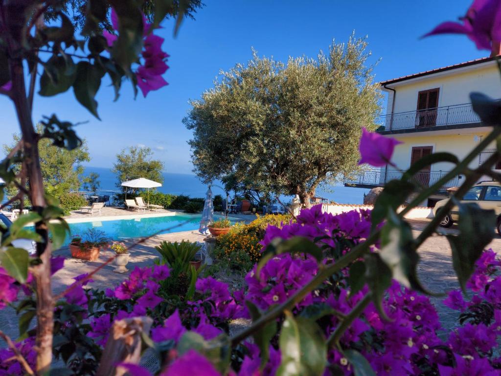 Villa Malandrino Guest House - 4