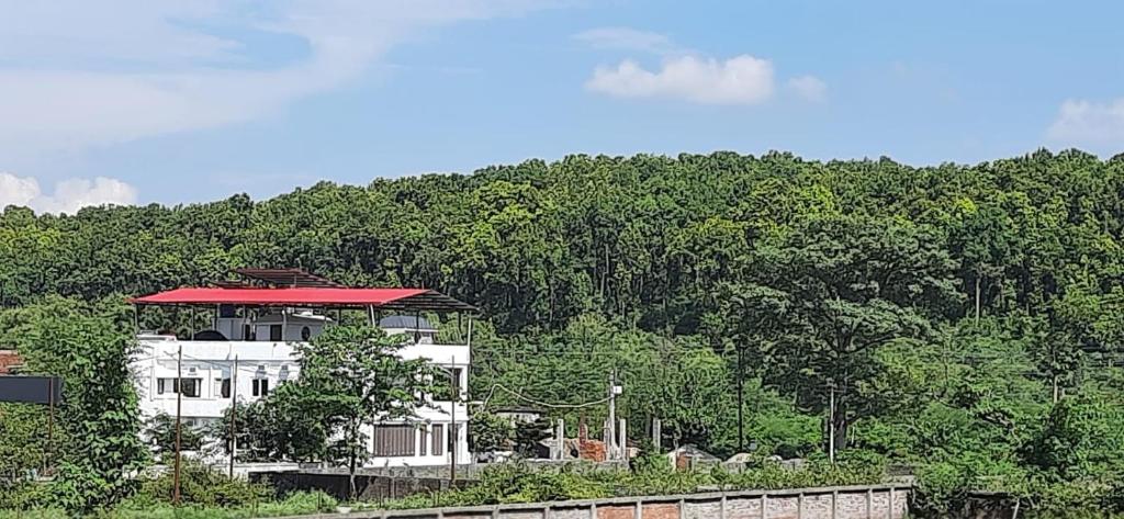 The Bird Dehradun photo
