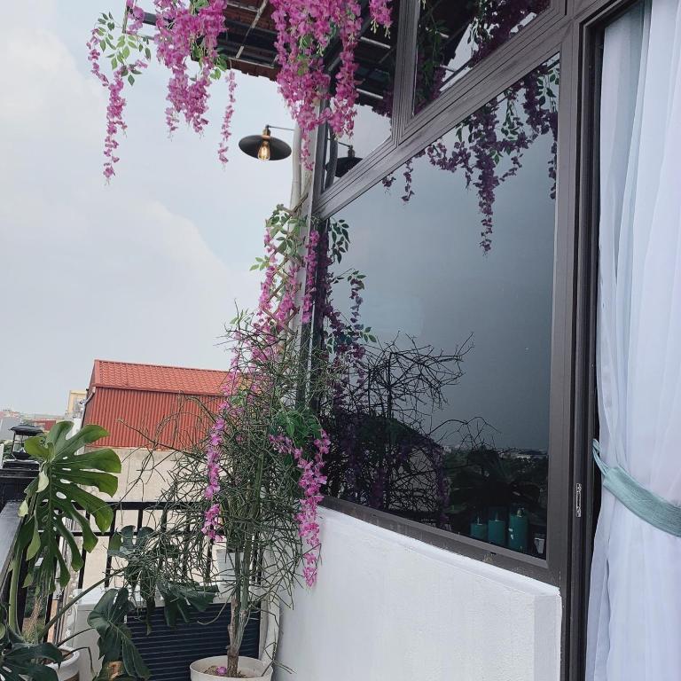 Mio Hotel photo