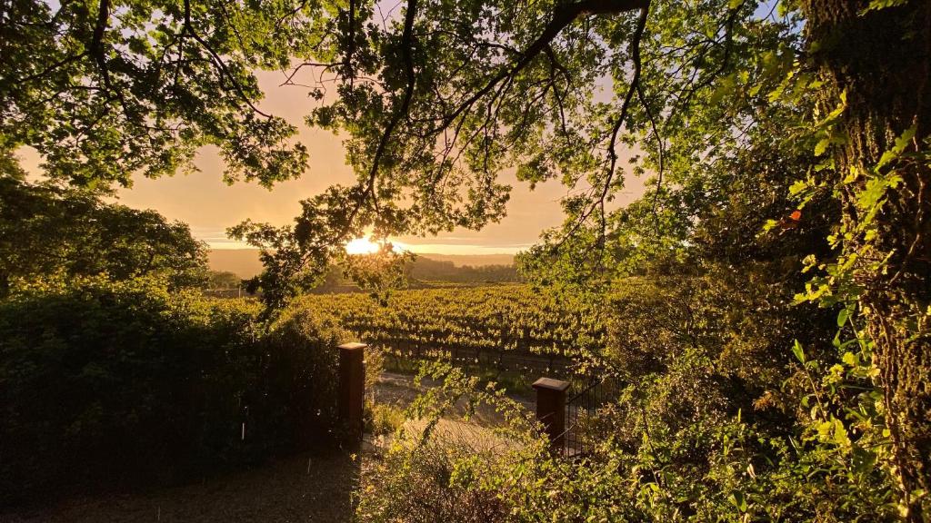 Le havre de paix Gîte insolite avec spa sous les étoiles, Mirabel-aux-Baronnies