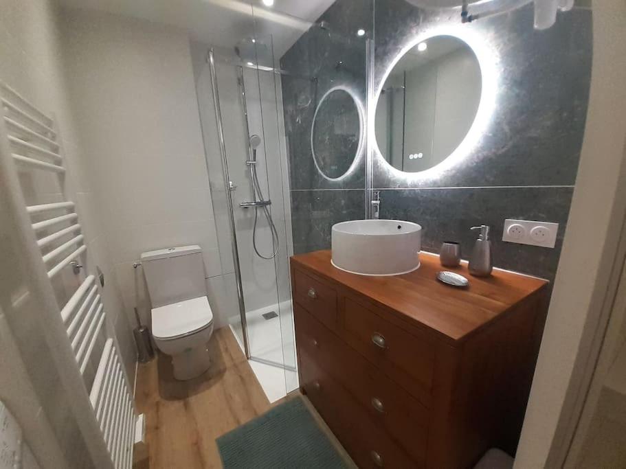 Classé 3 Etoiles IDEAL VIENNE Centre ville 20 min de LYON - 5