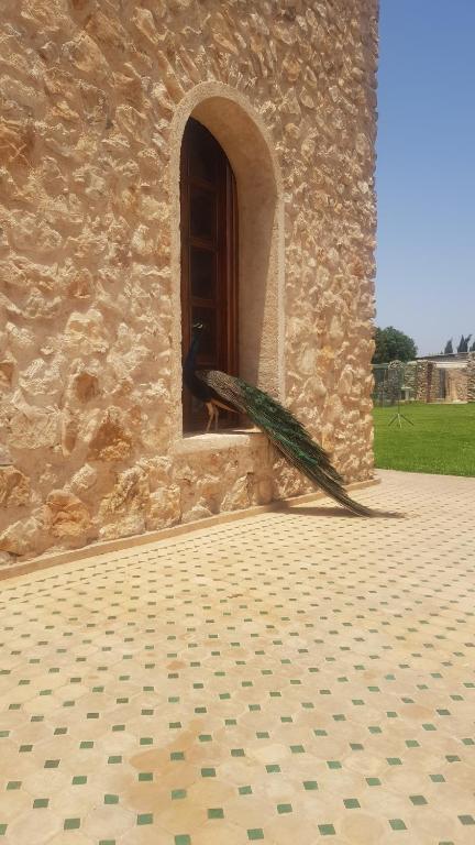 Gîte avec piscine privé, Agádir