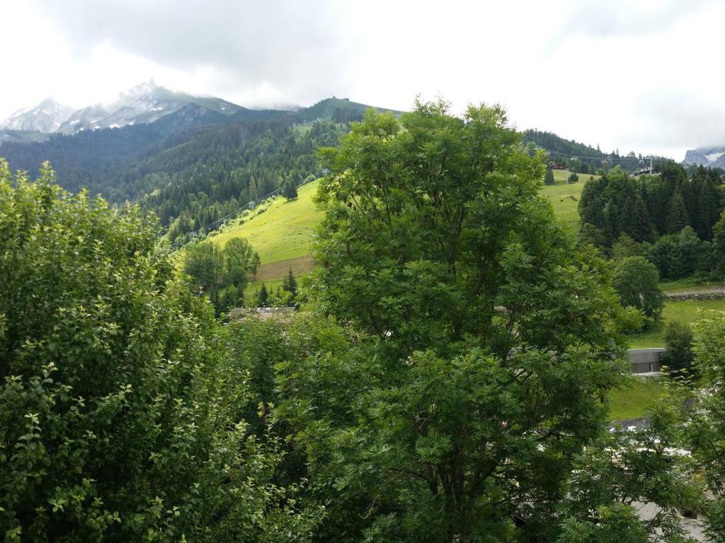 Charmant T2 avec balcon au cœur de La Clusaz, proche commerces et pistes - 4 pers. - FR-1-459-192 - 5