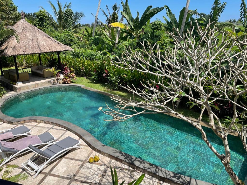 Villa Gabah photo