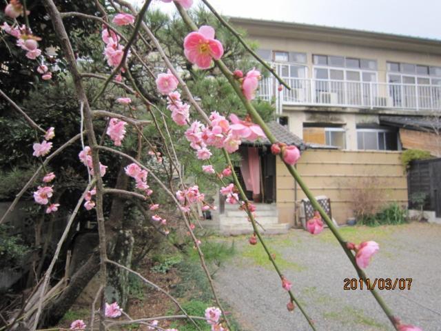 Ryokan Mikasaya photo
