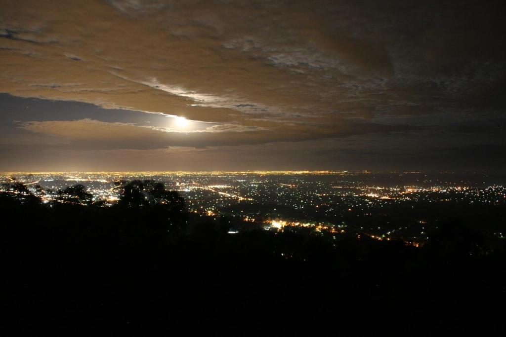 Bonza View photo