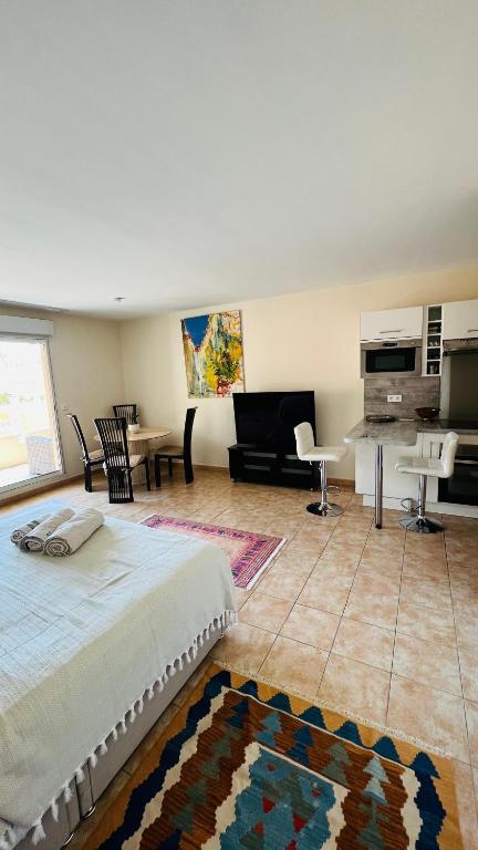 Mari stunning apartment next to Monaco with a sea view terrace - 5