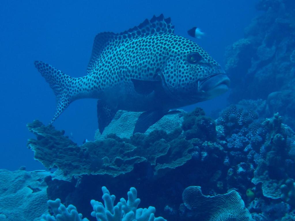 Sport en activiteiten