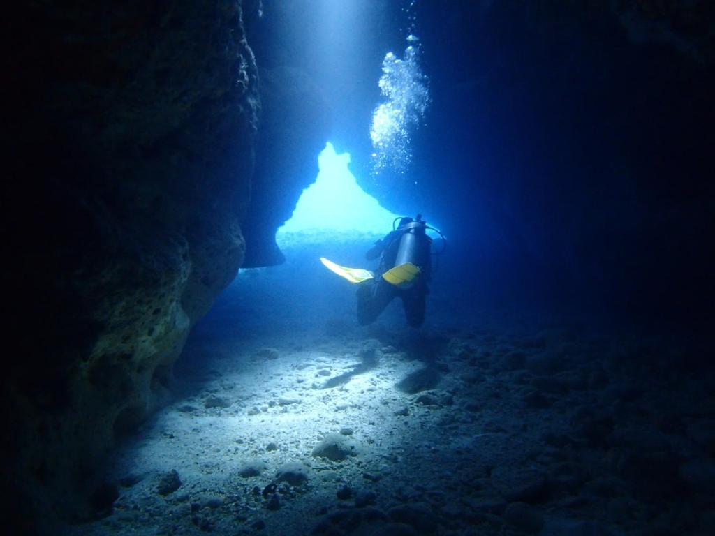 Sport en activiteiten