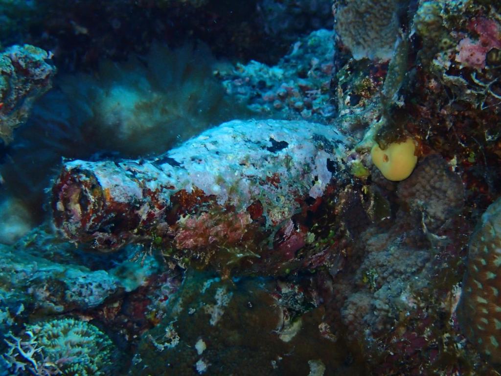 Sport en activiteiten