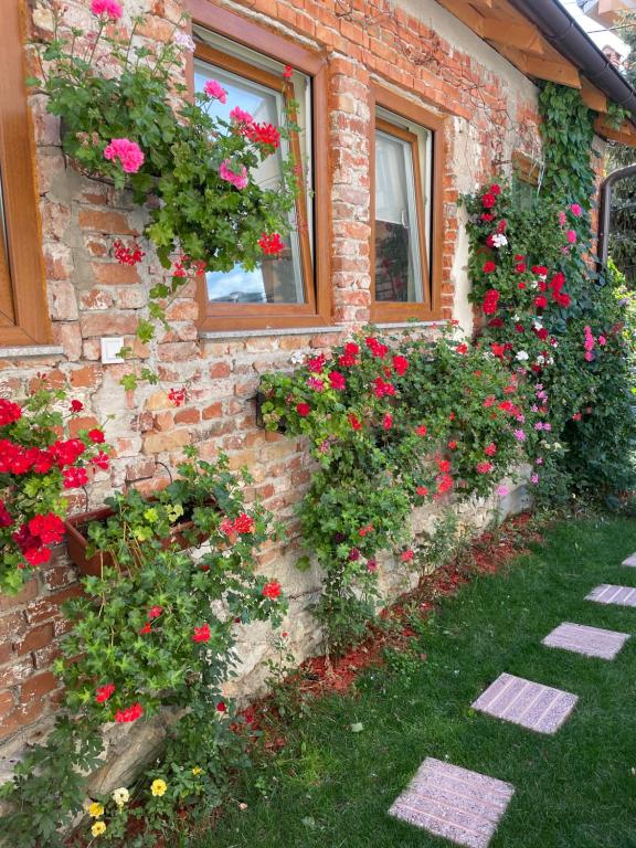 Flower House in the City Center! photo