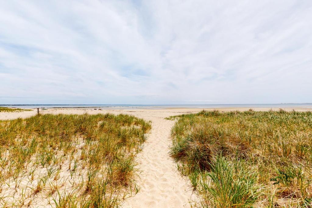 Door to Shore photo