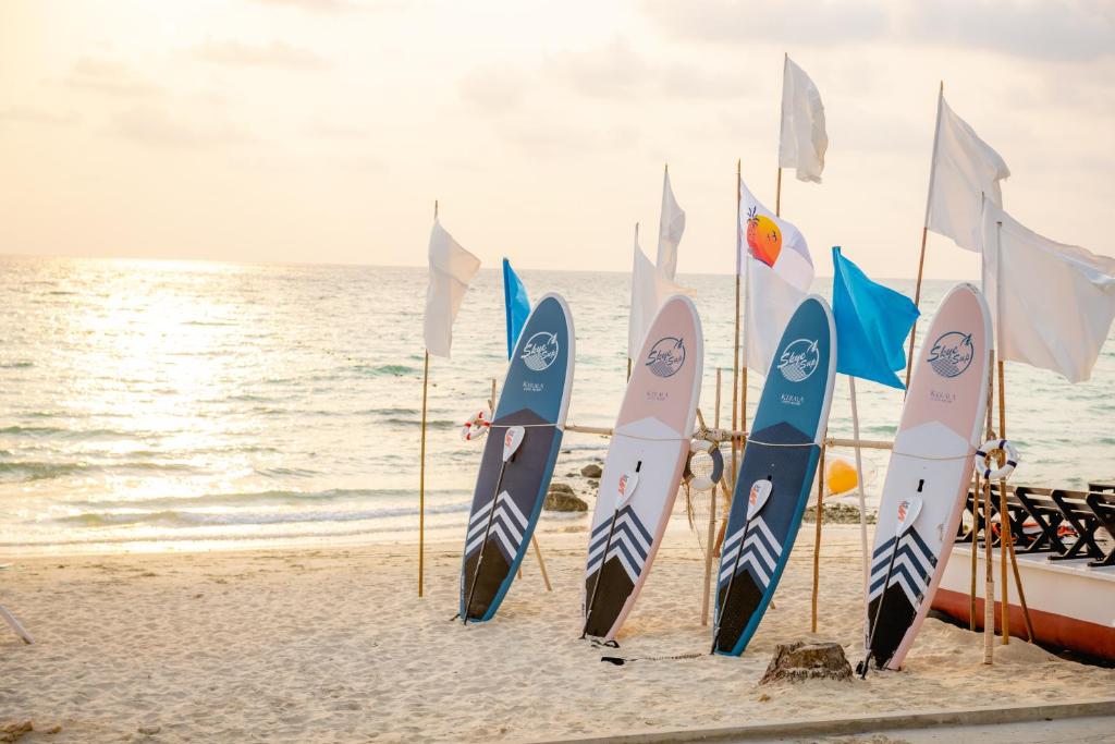 กิจกรรม