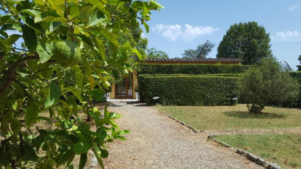 la limonaia - 5