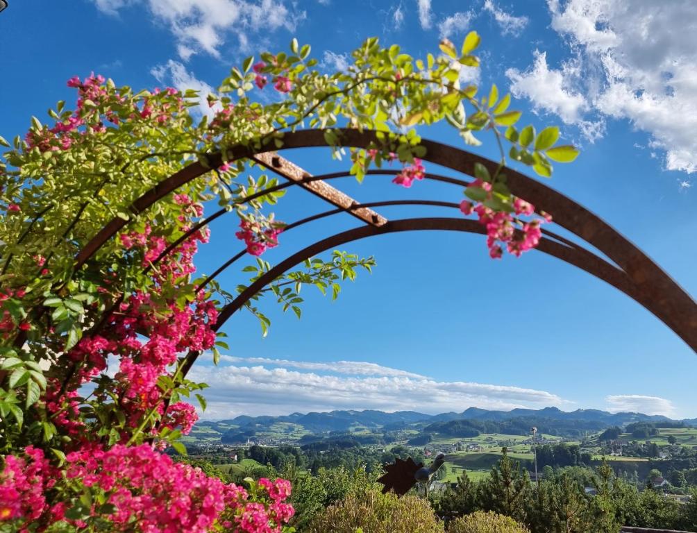 BnB Alpenblick photo