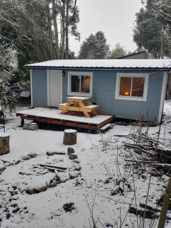 Cabañita en el Bosque - 1