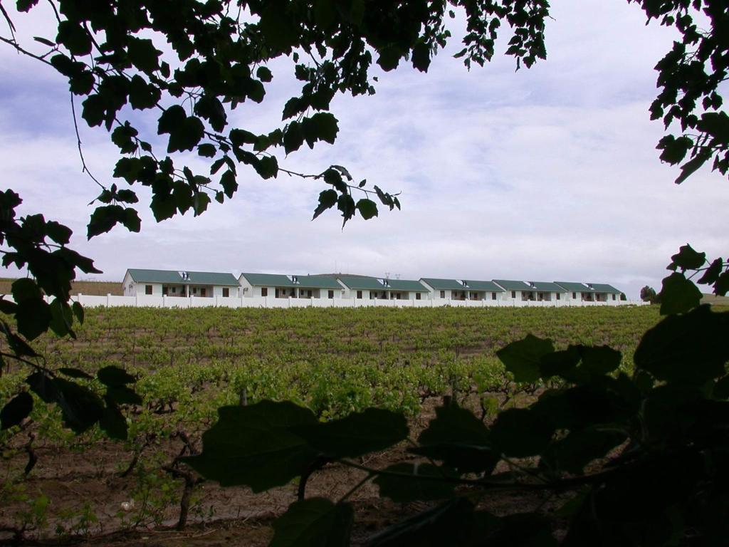D'Aria Guest Cottages photo