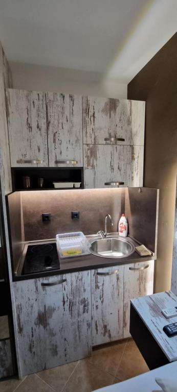 Deluxe Apartmani Vila Pejovic Sutomore - 2