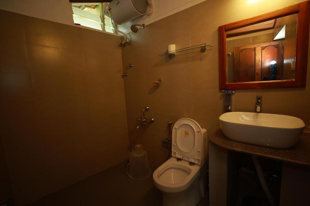 Ayla Homes photo
