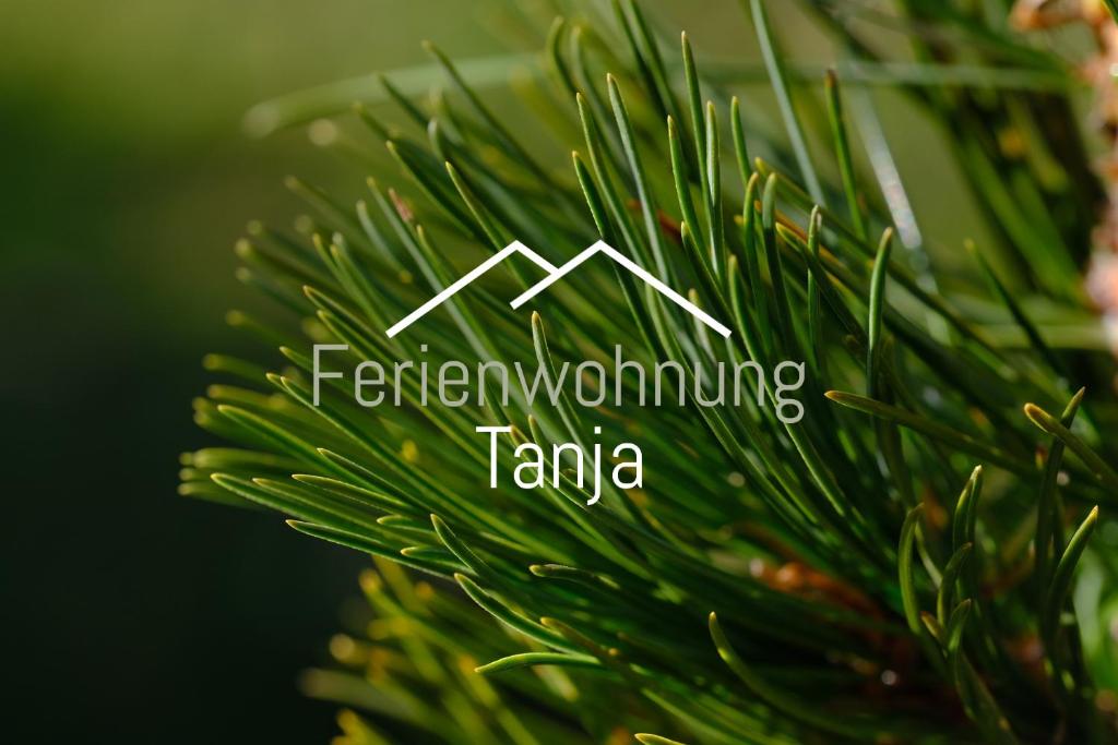 Ferienwohnung Tanja inklusive Sommercard - 2