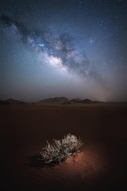 Surrounding environment