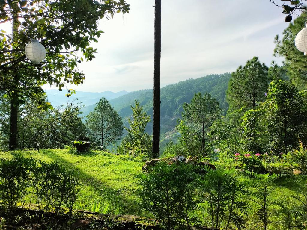 Le Jardin . (The garden) photo