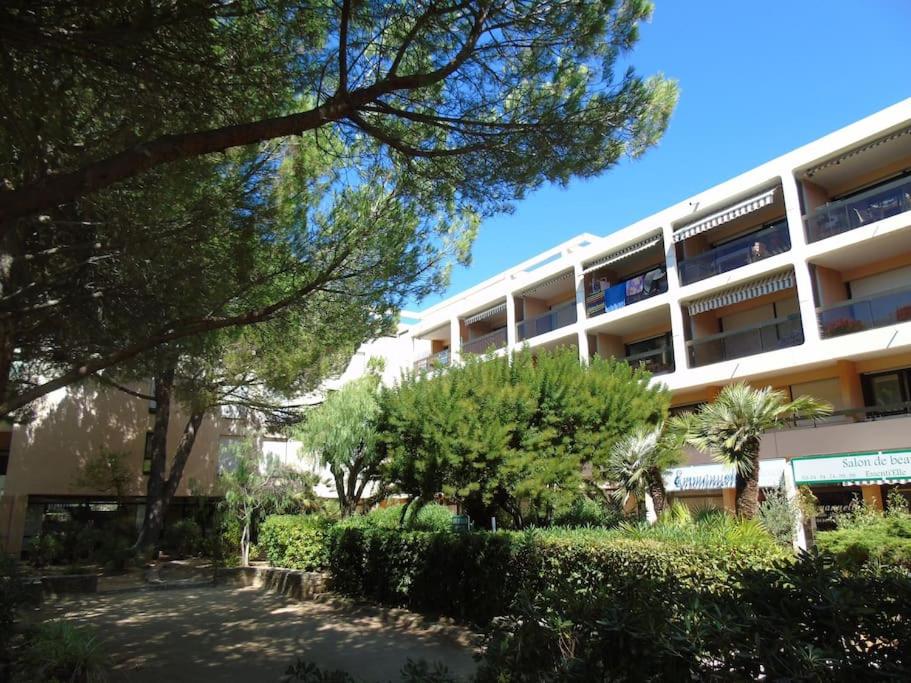 Studio "La mer" à Bormes-les-Mimosas - 4