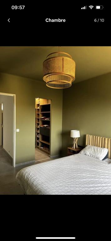 Appartement spacieux, proche centre ville. - 5