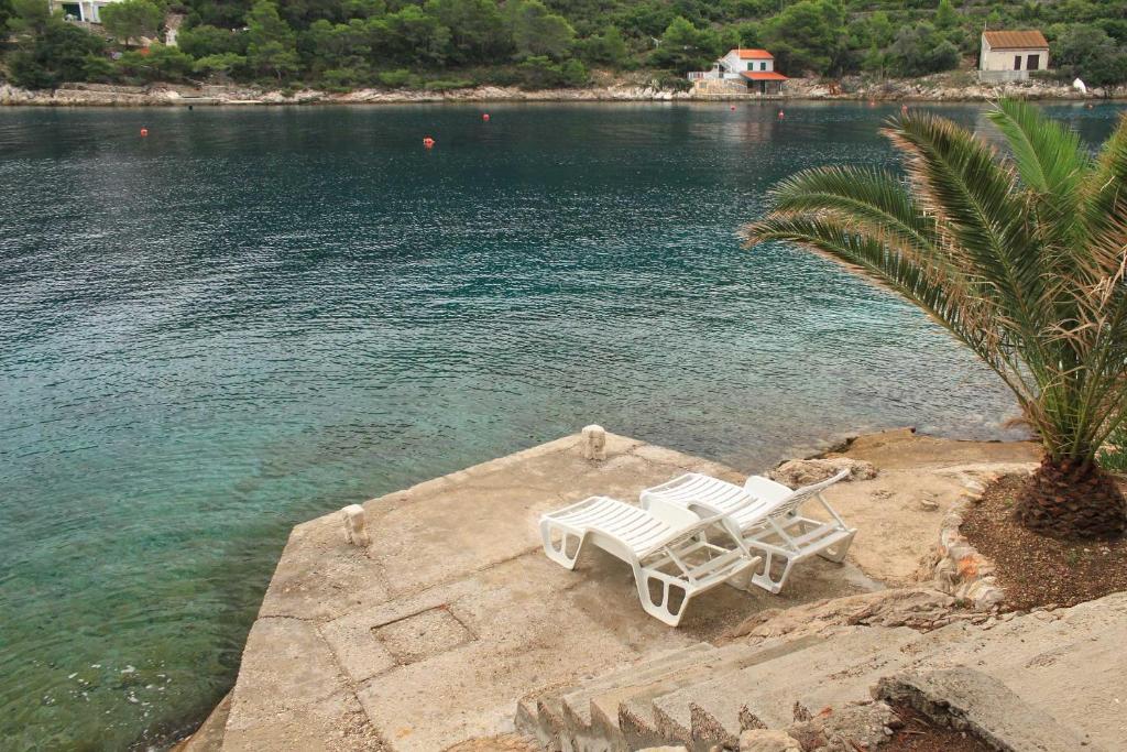 Secluded fisherman's cottage Cove Stoncica, Vis - 8894 photo