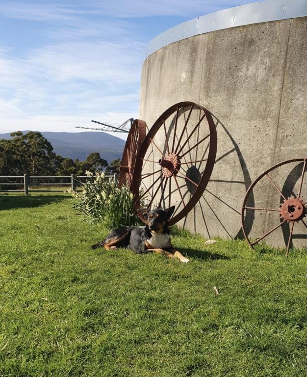 Ruby's Cottage Farm Stay photo