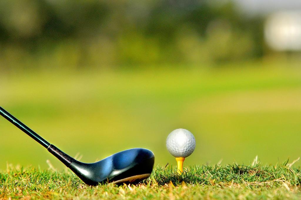 高爾夫球場 [住宿附設]