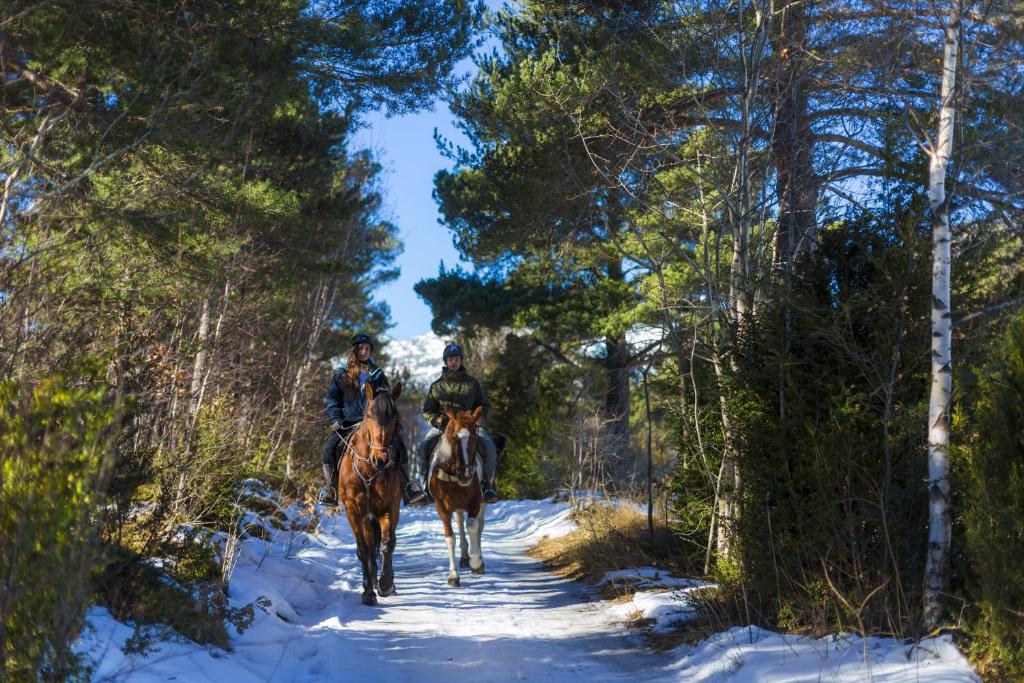 Horseback riding