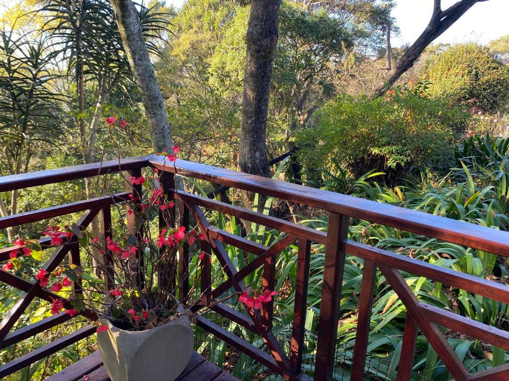 Cabbage Tree Cottage photo