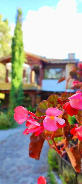 La Martina Campestre photo